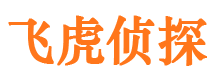 申扎市出轨取证